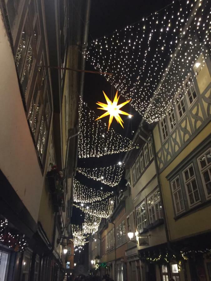 -Apartment Am Luisenpark-Perfekte Lage Im Gruenen Fuer Ihren Aufenthalt Erfurt Exteriör bild